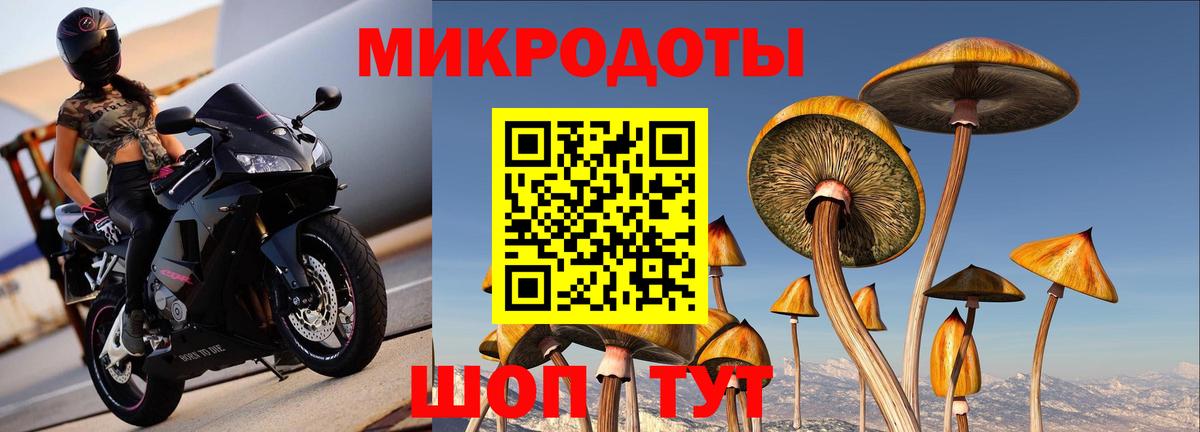 Псилоцибиновые грибы MAGIC MUSHROOMS  Вход с VPN  Псилоцибиновые грибы MAGIC MUSHROOMS  Ноябрьск 